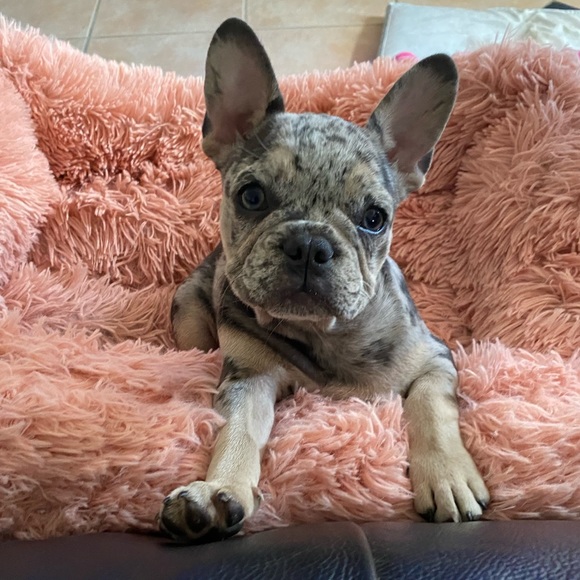 Meet your Posher, Gaby - Picture 7 of 10